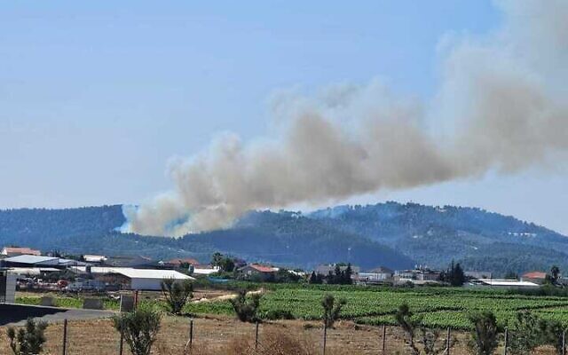 Fire at Birya Forest in the Galilee following the military's interception of an aerial target, June 4, 2024 (Marom Hagalil Regional Council)
