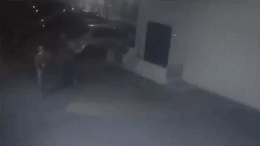 87455.gif